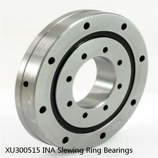 XU300515 INA Slewing Ring Bearings