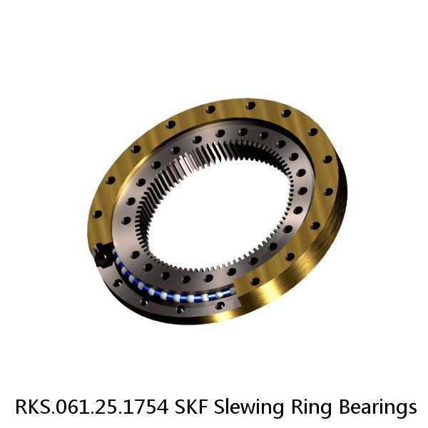 RKS.061.25.1754 SKF Slewing Ring Bearings
