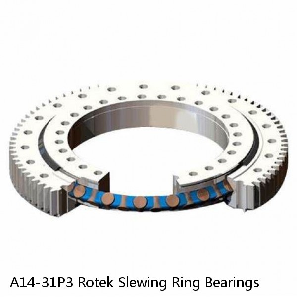 A14-31P3 Rotek Slewing Ring Bearings